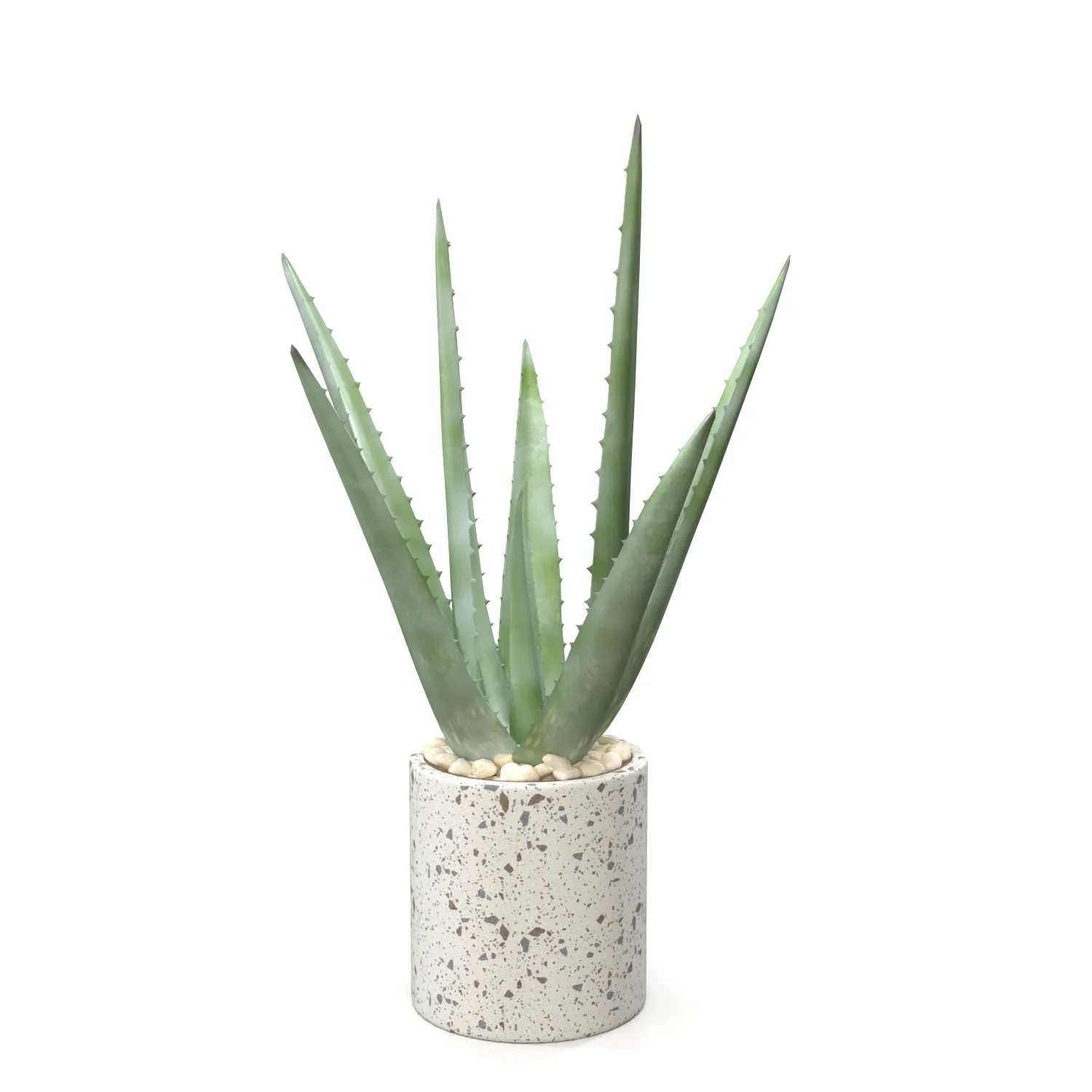 Healthy Aloe Vera Plant In Ceramic Vase PBR 3D Model_03